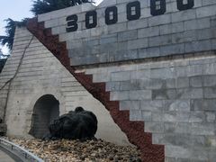 -侵华日军南京大屠杀遇难同胞纪念馆-停车场