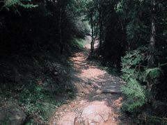 -阳台山自然风景区