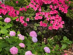 -常州古运河南大街文化旅游区-人民公园