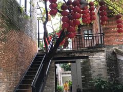 -德云居