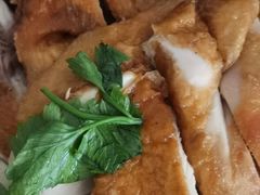 -五星海南鸡饭餐馆(东海岸路店)