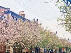 -天津五大道文化旅游区