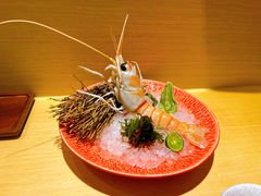 澳洲鳌虾-本逸·割烹料理(湖墅店)