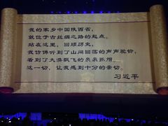 -《驼铃传奇》秀