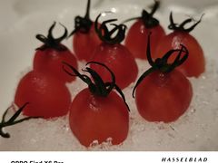 -南麓·浙里(外滩店)