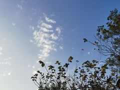 -观象山公园