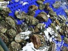 鲍鱼-福禧荟·海鲜自助