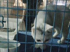 -赢吧Bliss音乐酒吧