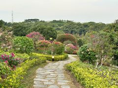 -东莞植物园