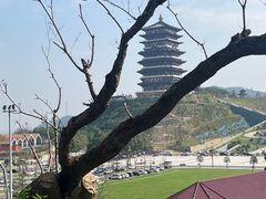 -鄱阳湖国家湿地公园