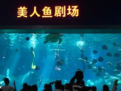 -福州罗源湾海洋世界旅游区
