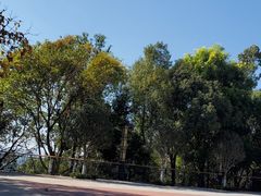 -神光山国家森林公园