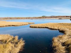 -塞罕坝国家级自然保护区
