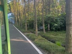 -宜兴龙背山森林公园