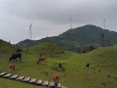 -天龙顶山地公园