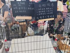 -万达广场(北京槐房店)