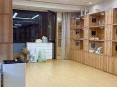 -猫十亿·布偶金渐层·曼基康矮脚猫舍(青年路店)