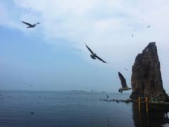 -海驴岛(荣成市)