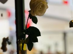 -岛风·台食小馆 ISLAND BISTRO(烟台山店)