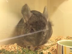 -龙猫仔乐园(惠福东路店)