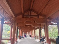 -重庆彩云湖湿地公园