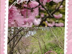 -南京市江宁方山