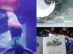 -大连老虎滩海洋公园