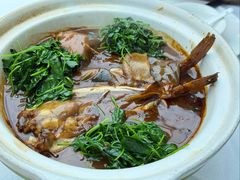 红烧河豚-永丰源大酒店(人民中路店)