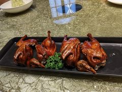 红烧乳鸽-粤珍轩·家宴·广式茶点(新城广场店)