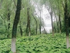 -北京奥林匹克公园