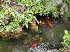 -成都杜甫草堂博物馆