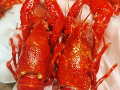 -沪小胖·小龙虾·蓝龙王(八佰伴店)