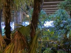 -大妙火锅·非物质文化遗产(东湖公园店)