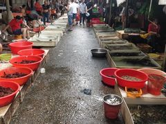 -树木岭集贸市场(劳动东路)