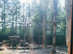 -上海野生动物园老虎餐厅