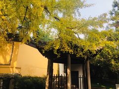 -无锡惠山寺