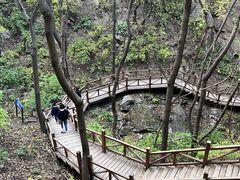 -大岭沟猕猴桃谷风景区