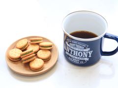 -隹木咖啡馆(宝龙广场店)