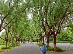 -东华大学(松江校区)