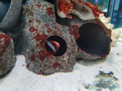 -太平洋海底世界