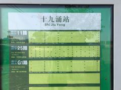 -大湾区中央湿地公园-十九涌