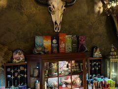 -雪灵魔法世界SHELLY’S TAROT(大良桂畔里店)