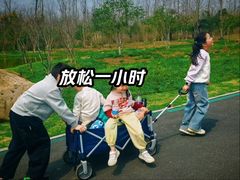 -合肥滨湖国家森林公园