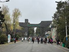 -溱湖国家湿地公园