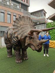 -恐龙探索乐园(磁器口店)