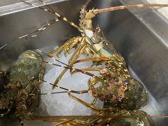 皮皮虾-霞涌市场海鲜摆卖区