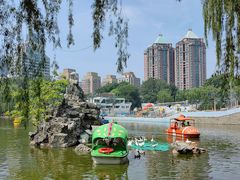 -团结湖公园