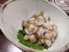 芥末章鱼-天一料理(荔枝广场店)
