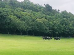 -广州雕塑公园