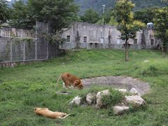 -西安秦岭野生动物园